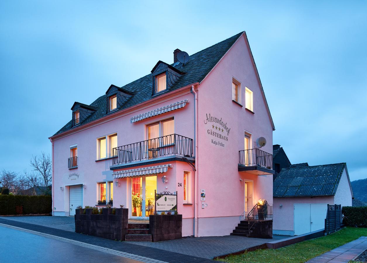 Gaestehaus Alexanderhof Leiwen Luaran gambar